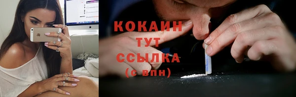 тгк Лагань