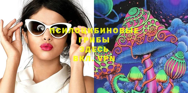 mdpv Лабытнанги