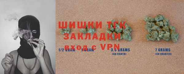 тгк Лагань