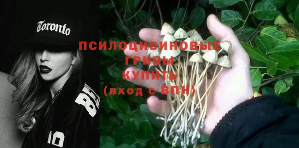 mdpv Лабытнанги