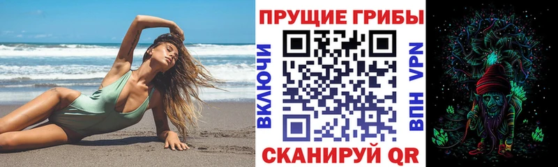Псилоцибиновые грибы мицелий МЕГА ССЫЛКА Якутск купить наркоту