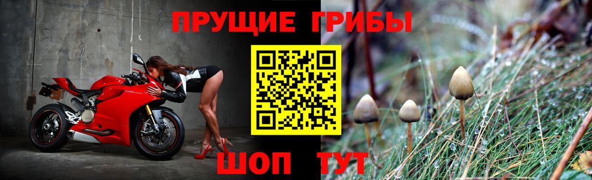 Псилоцибиновые грибы Psilocybe  Вход с VPN  Якутск  Псилоцибиновые грибы мицелий 